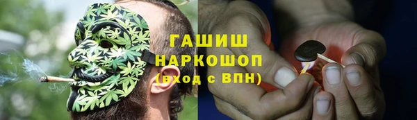 ПСИЛОЦИБИНОВЫЕ ГРИБЫ Вязники