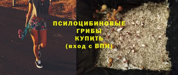 ПСИЛОЦИБИНОВЫЕ ГРИБЫ Вязники