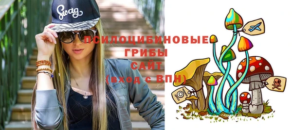 а пвп мука Вязьма