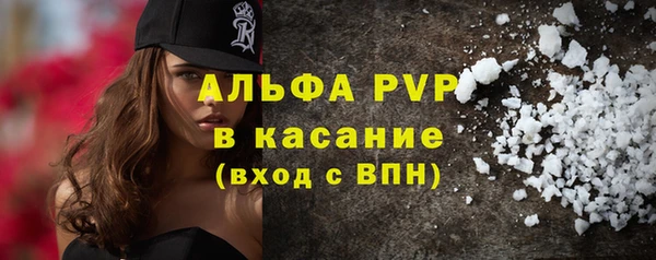 ПСИЛОЦИБИНОВЫЕ ГРИБЫ Вязники