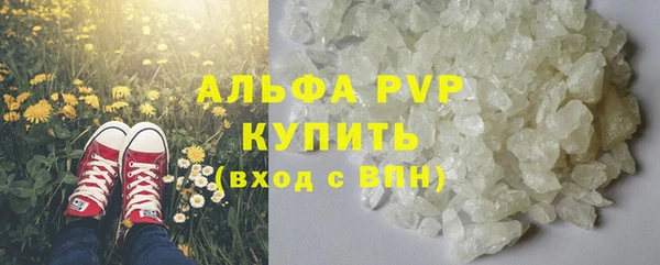 ПСИЛОЦИБИНОВЫЕ ГРИБЫ Вязники