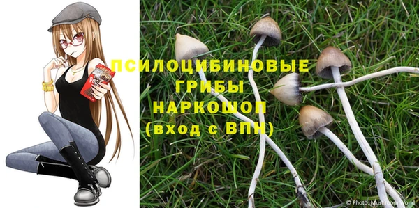ПСИЛОЦИБИНОВЫЕ ГРИБЫ Вязники