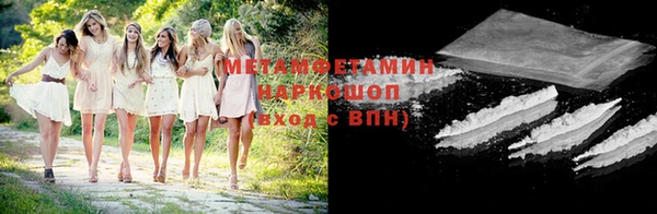 ПСИЛОЦИБИНОВЫЕ ГРИБЫ Вязники