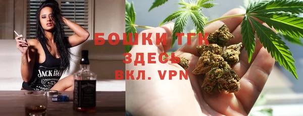 ПСИЛОЦИБИНОВЫЕ ГРИБЫ Вязники