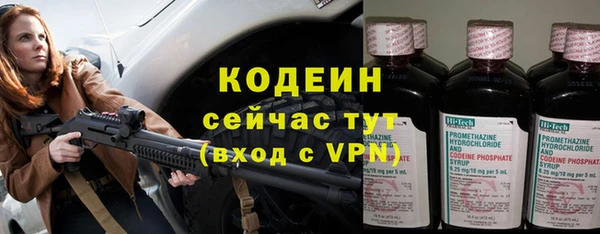 ПСИЛОЦИБИНОВЫЕ ГРИБЫ Вязники